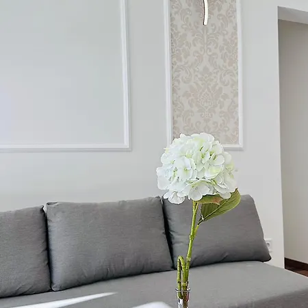 Jozsef Krt 50 Budapeszt